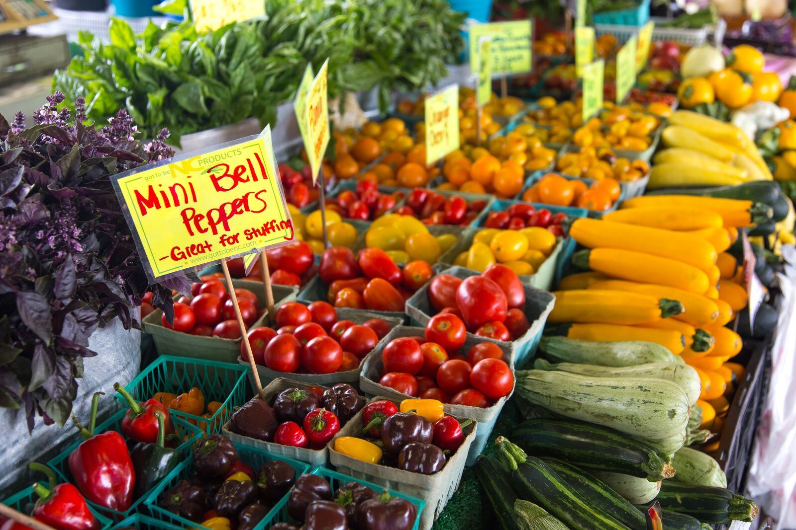 A colourful assortment of fresh market vegetables