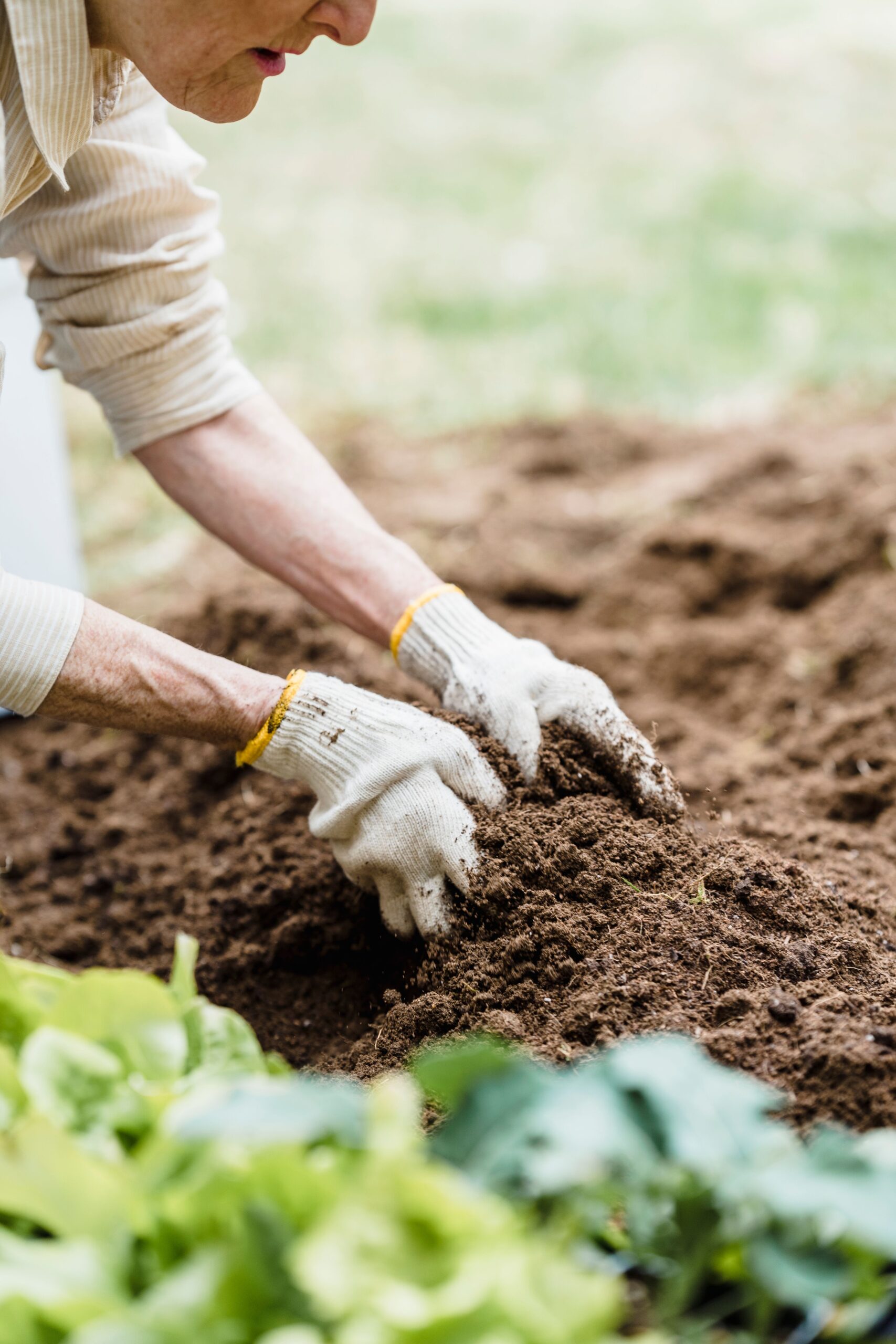 Hands tending soil in a garden