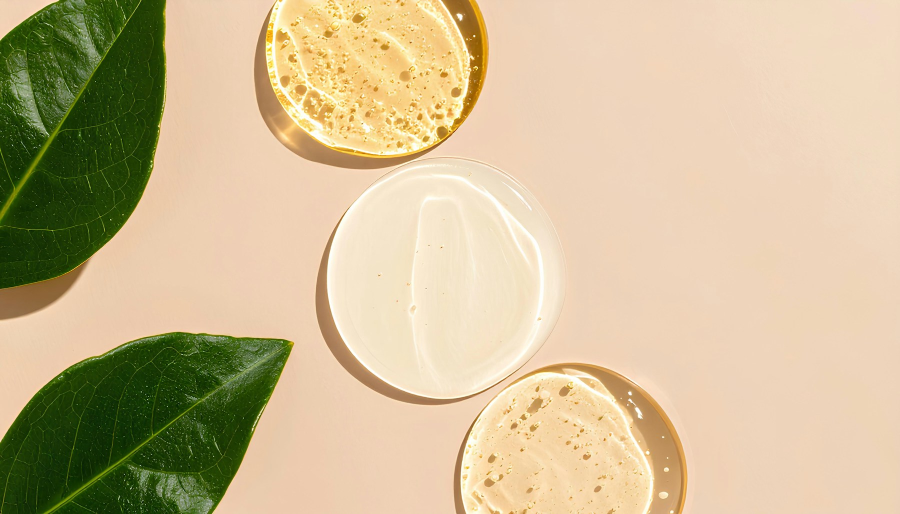 Drops of clear and golden serum on round glass plates beside a green leaf