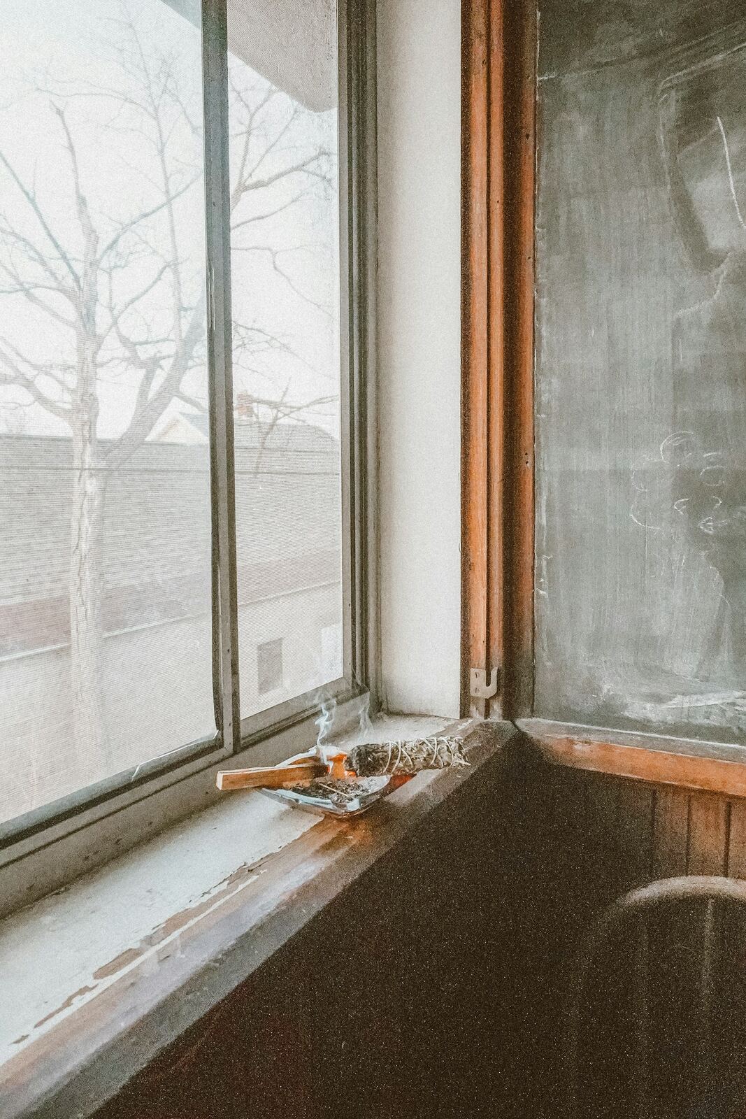 A wide wooden windowsill in soft winter light, bare trees outside