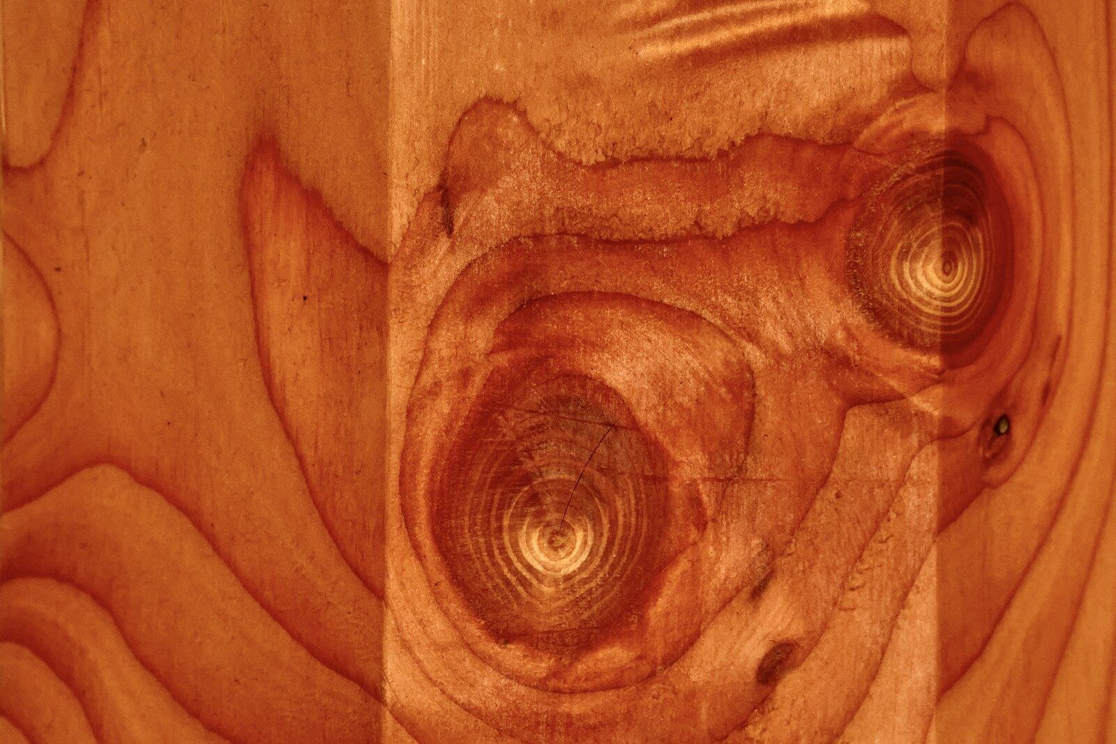 Close-up of warm, knotted wood grain